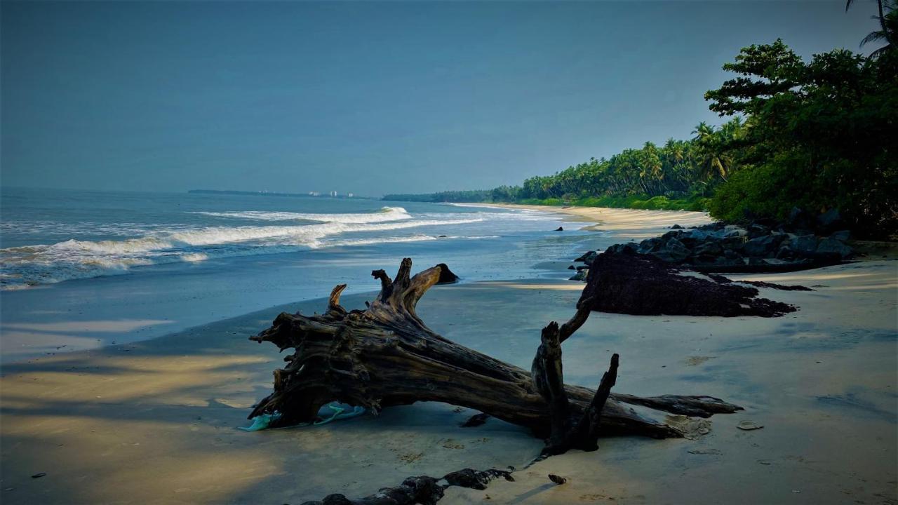 White Shell Beach House Kannur Exteriér fotografie