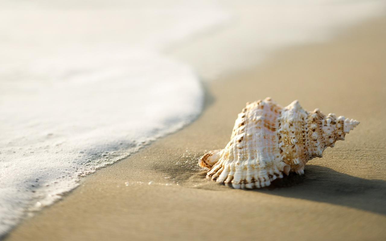White Shell Beach House Kannur Exteriér fotografie